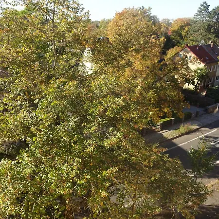 Apartment M - View *
